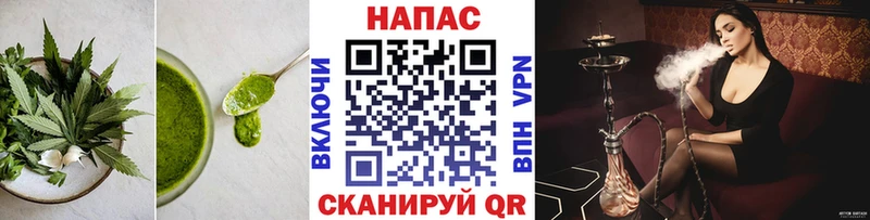 Cannafood конопля Высоковск