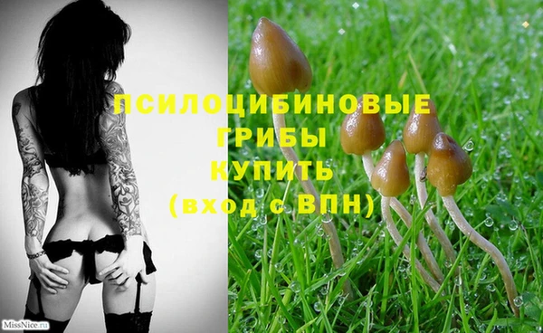 круглые Заводоуковск