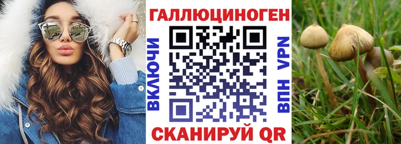 Галлюциногенные грибы мицелий  blacksprut   Высоковск 